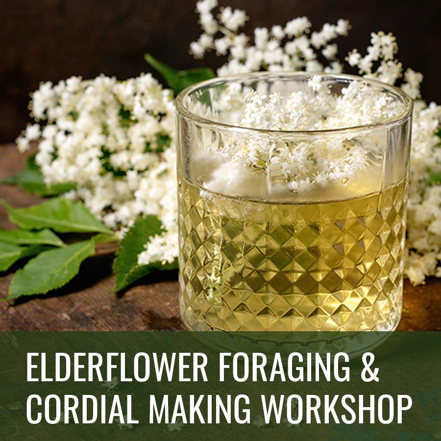 Elderflower Cordial Making Workshop