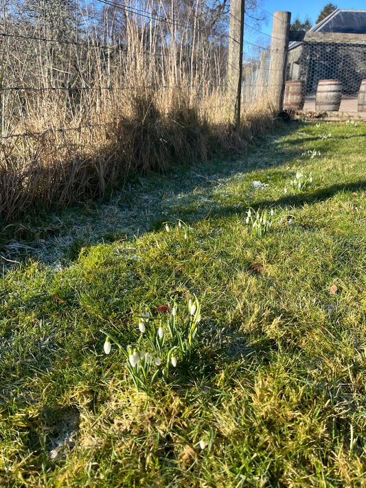 Guardians of the Threshold