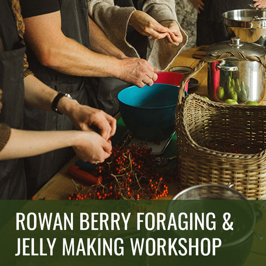 Rowan Berry Foraging & Jelly Making Workshop