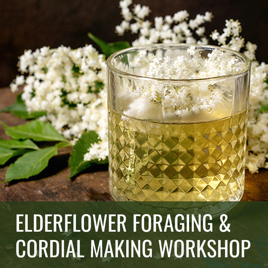 Elderflower Cordial Making Workshop