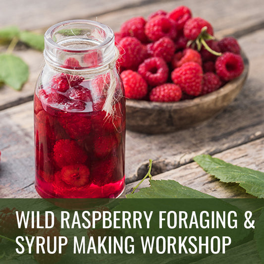 Wild Raspberry Syrup Workshop