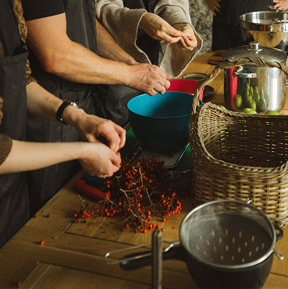 Rowan Berry Foraging & Jelly Making Workshop