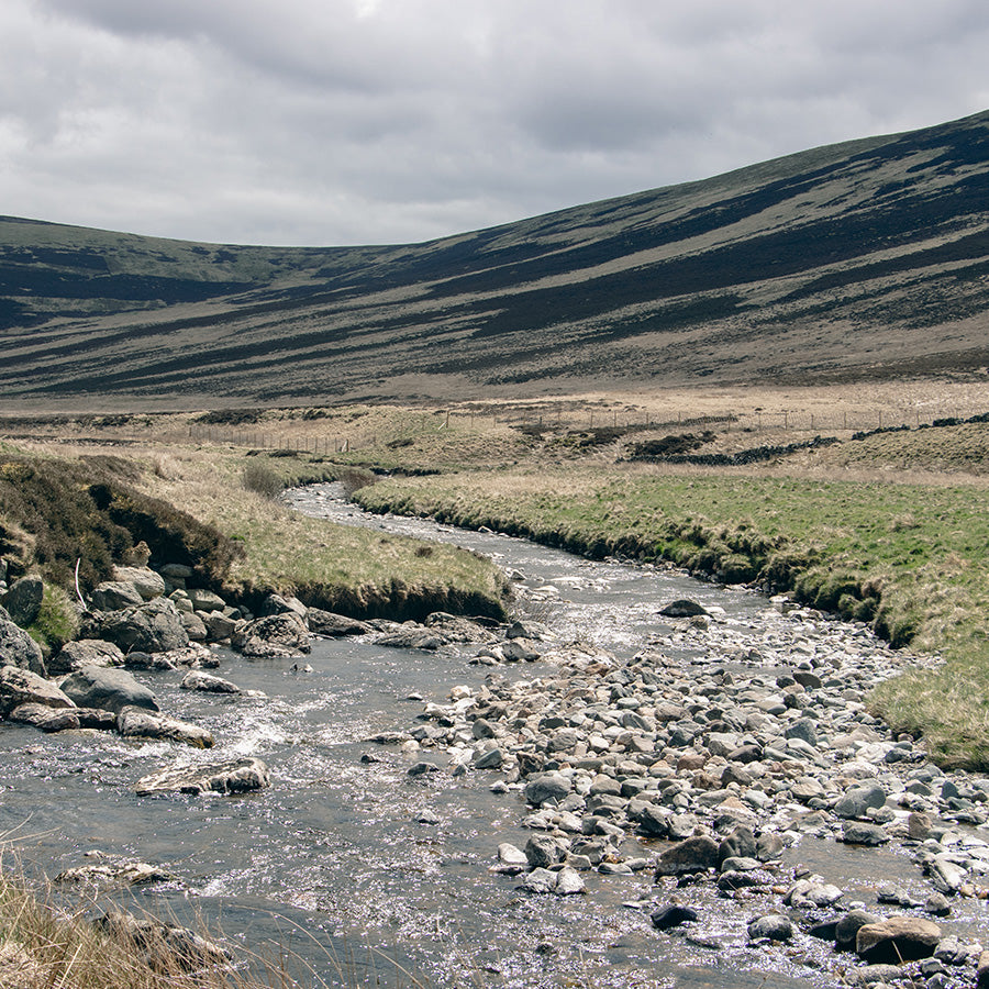Premium Bothy Distillery Tour