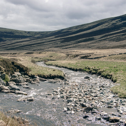 Premium Bothy Distillery Tour